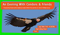 An Evening with Condors And Friends